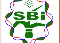 Sugarcane Breeding Institute (ICAR SBI) Recruitment 2023- Apply Young Professional I Post